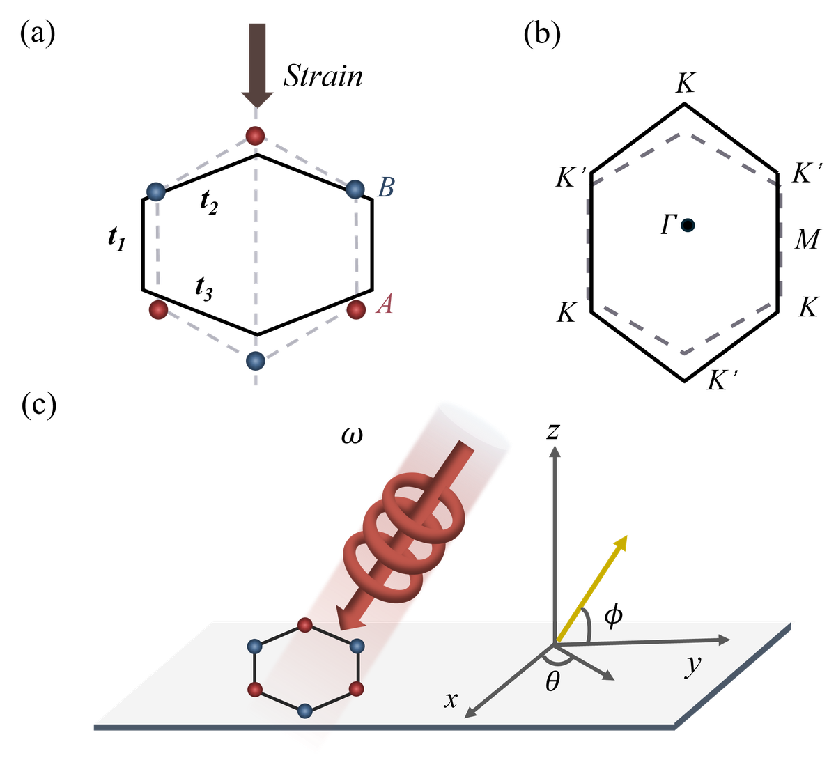 fig1