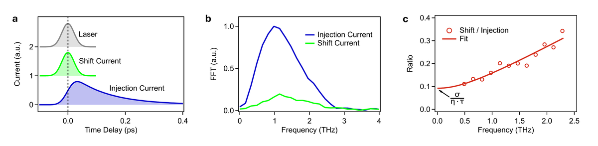 fig1